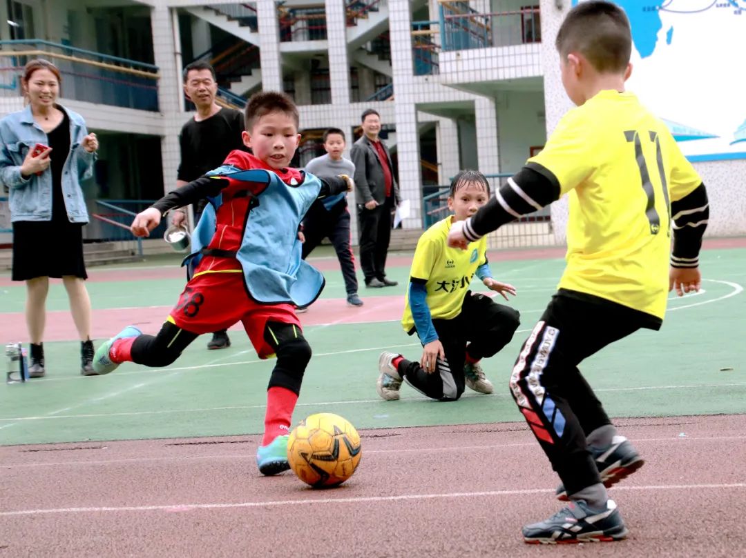 傅强老师简介,傅强老师现场直播