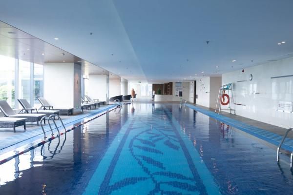 美食与美景交织,端午来顺德畅玩一夏