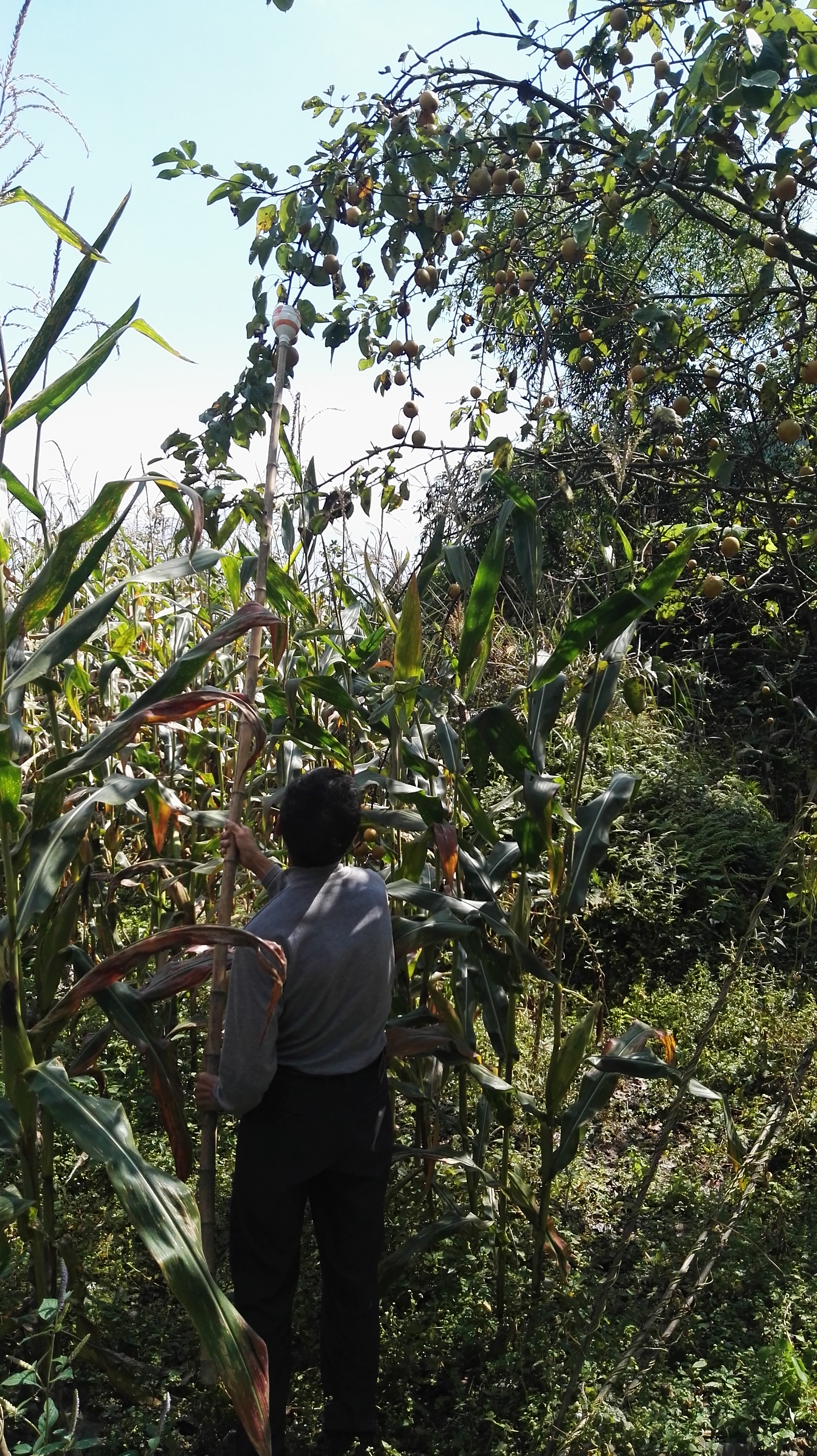 五峰长阳自驾,骑行长阳