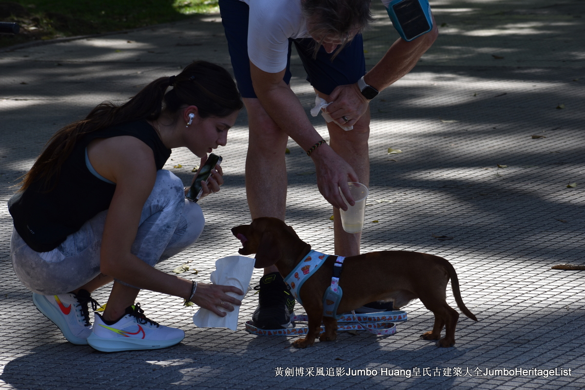 第5023回：富得像个阿根廷人，蓝花楹咖啡馆酒吧