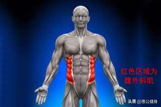 仰卧起坐如何练马甲线,每天100个仰卧起坐多久练出马甲线