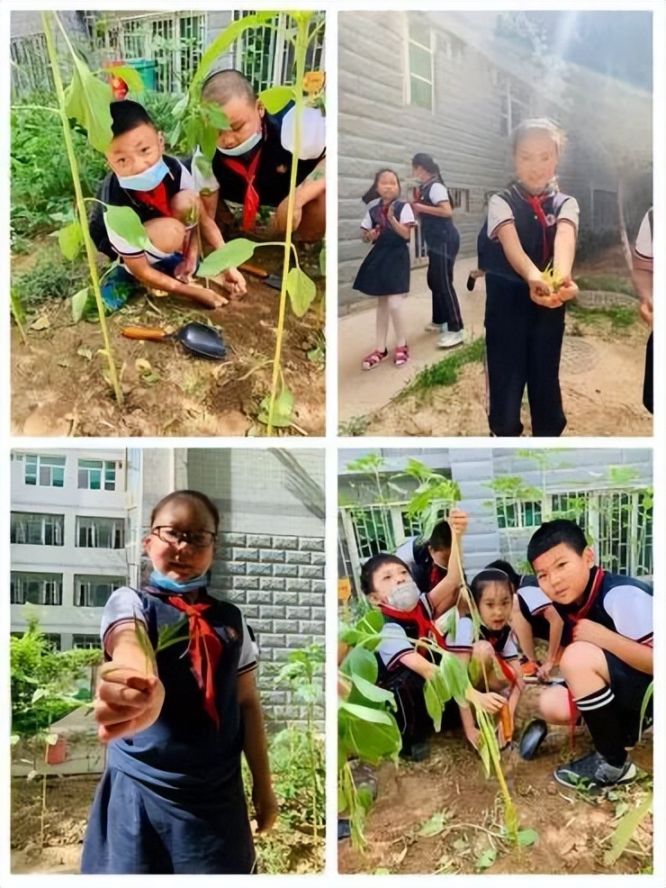 兰州东方小学招生简章2022,兰州市2019年东方小学招生