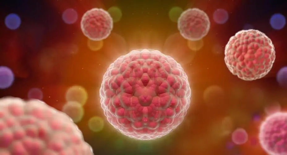 澳洲女子胶原蛋白,澳洲女性胶原蛋白