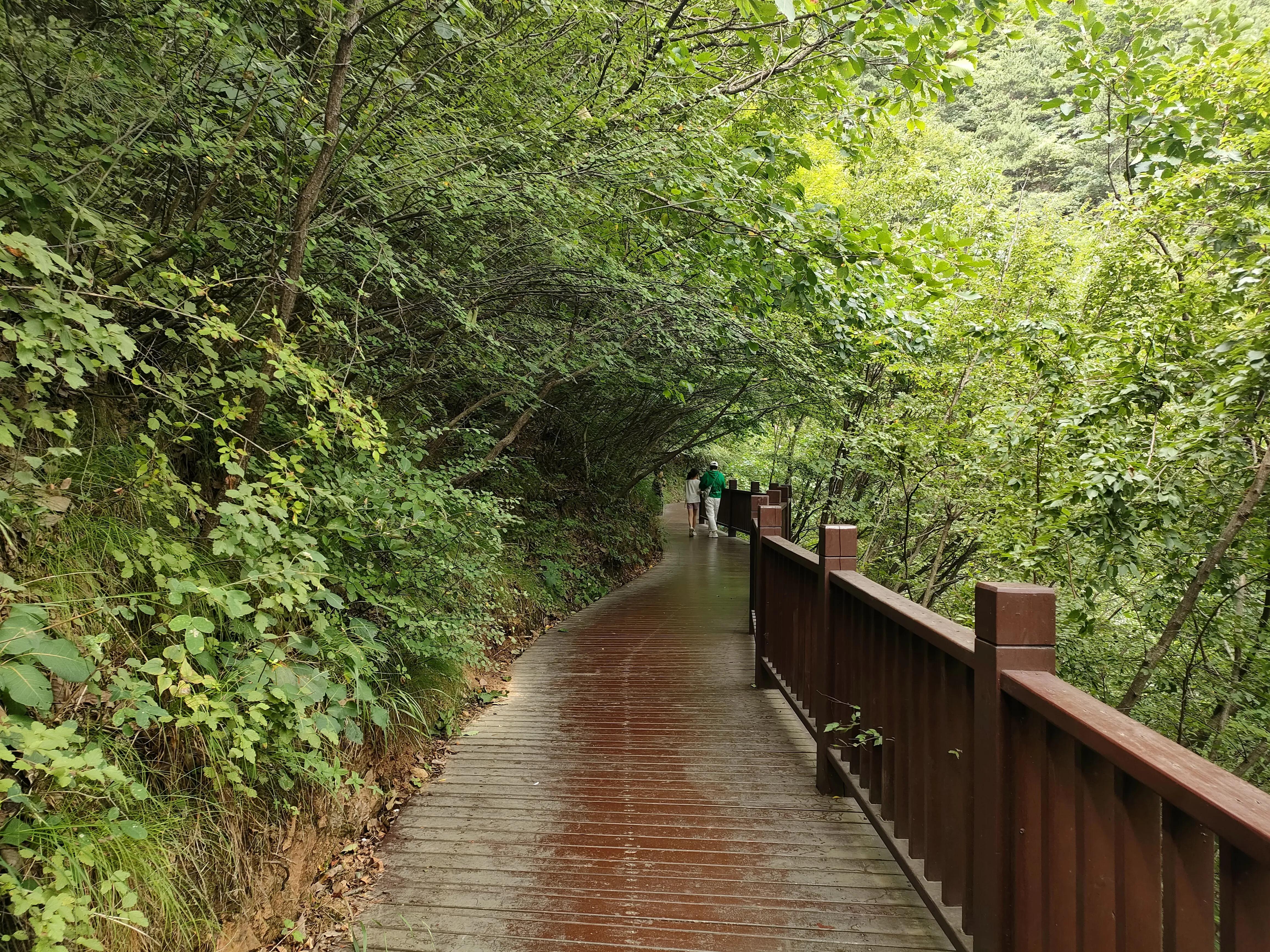 秦岭江山景区怎么样,秦岭江山景区最新通知