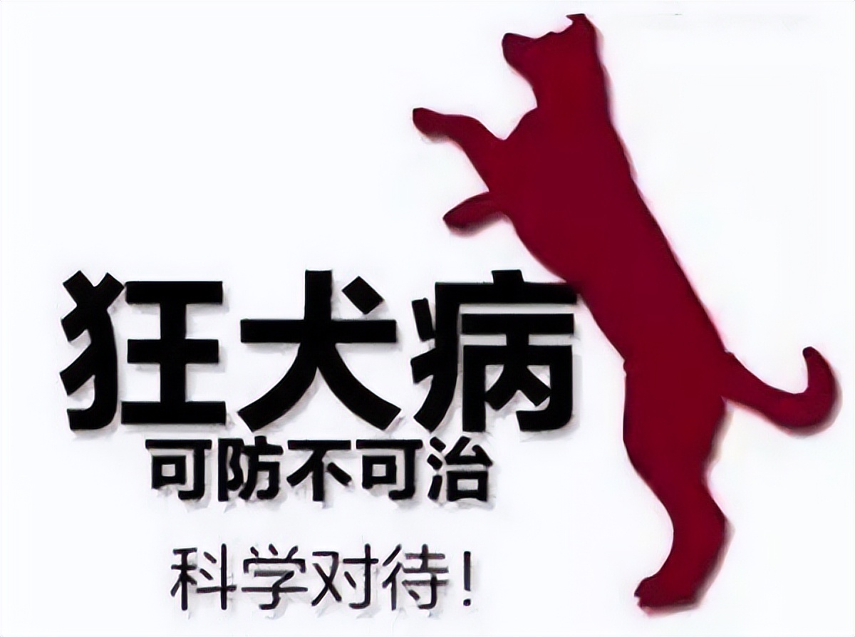致死率近100%狂犬病为何如此恐怖,科普篇狂犬病到底有多可怕