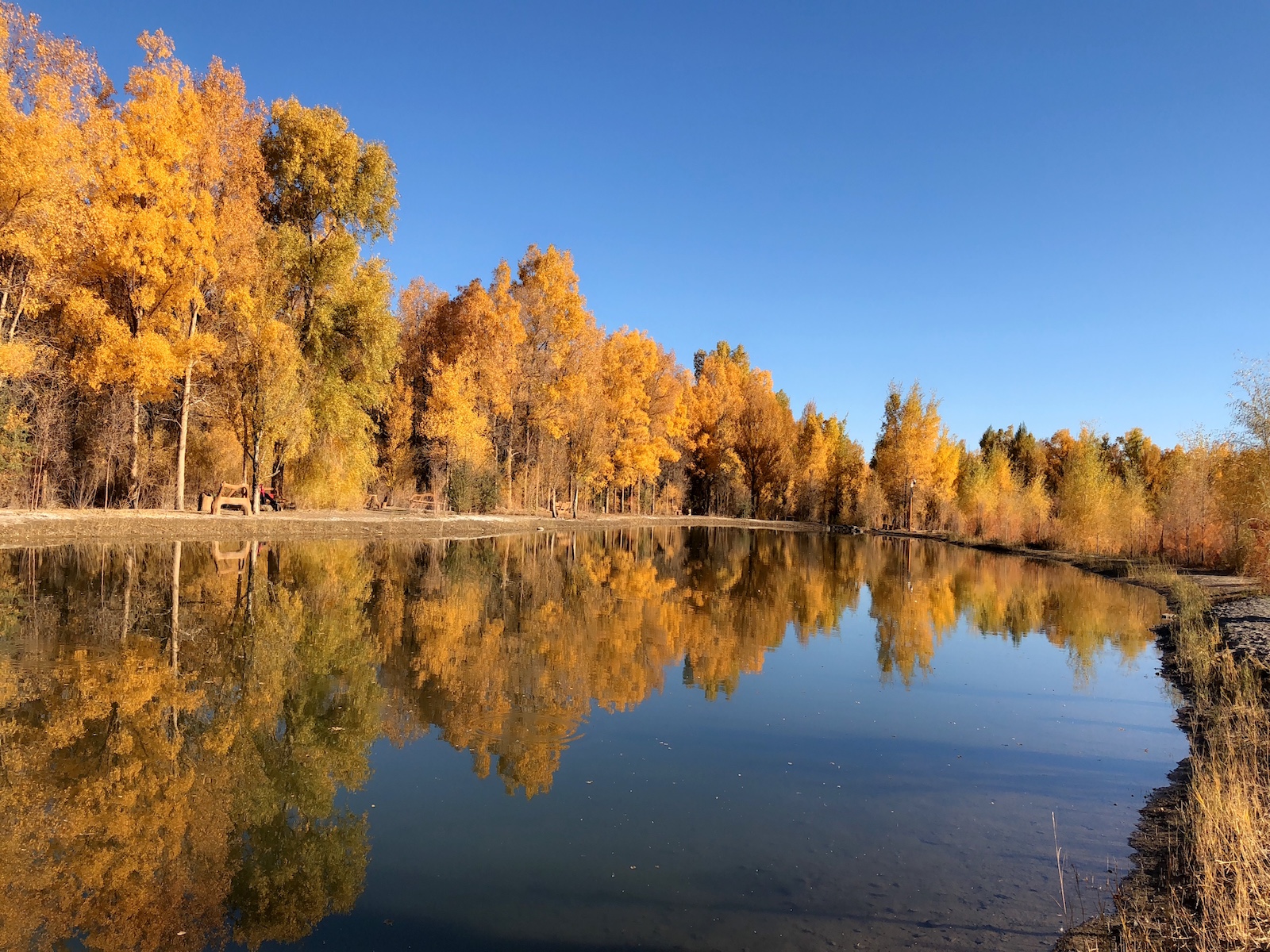 北京自驾额济纳胡杨林十天攻略,从北京到额济纳胡杨林线路