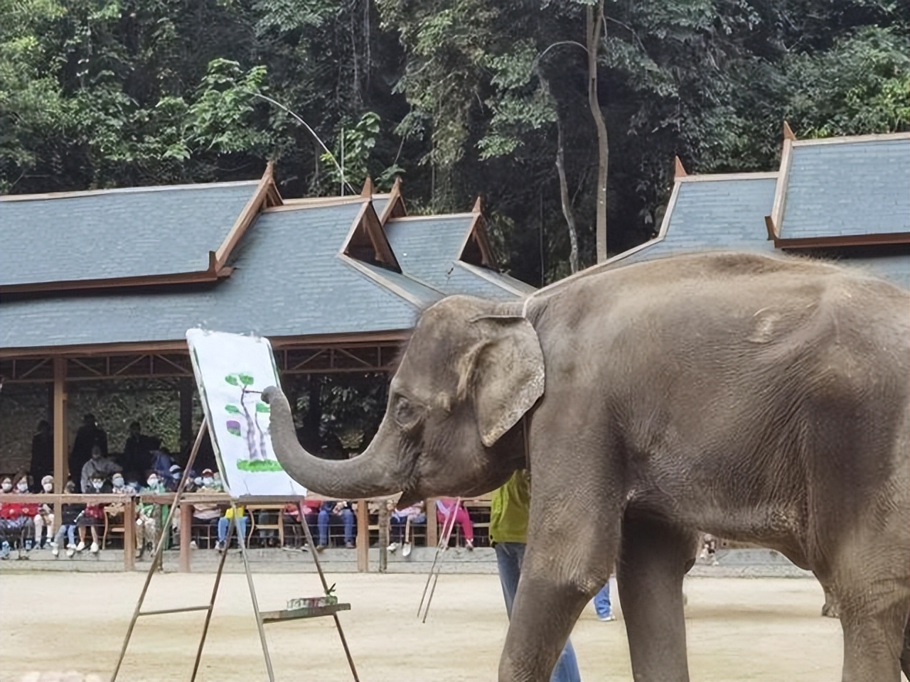 云南五日游一般要多少钱旅游攻略,云南三日游多少钱跟团旅游合适