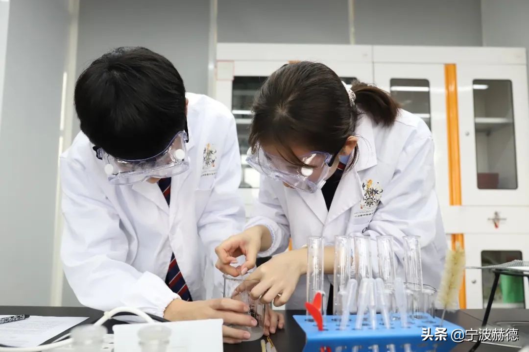 宁波剑桥男孩：对一流大学来说，它看中的未必只是一流的学术成绩