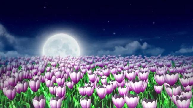 诗经陈风月出原文赏析,诗经陈风月出正确读音