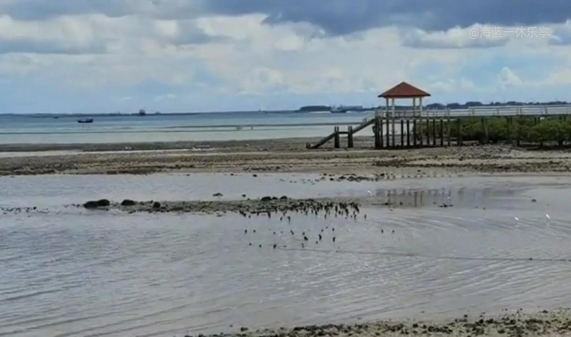 遇见最美的湛江,湛江特呈岛之旅
