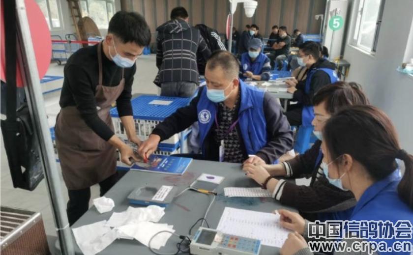 世界杯总决赛7-1,世界杯总决赛后半场回放