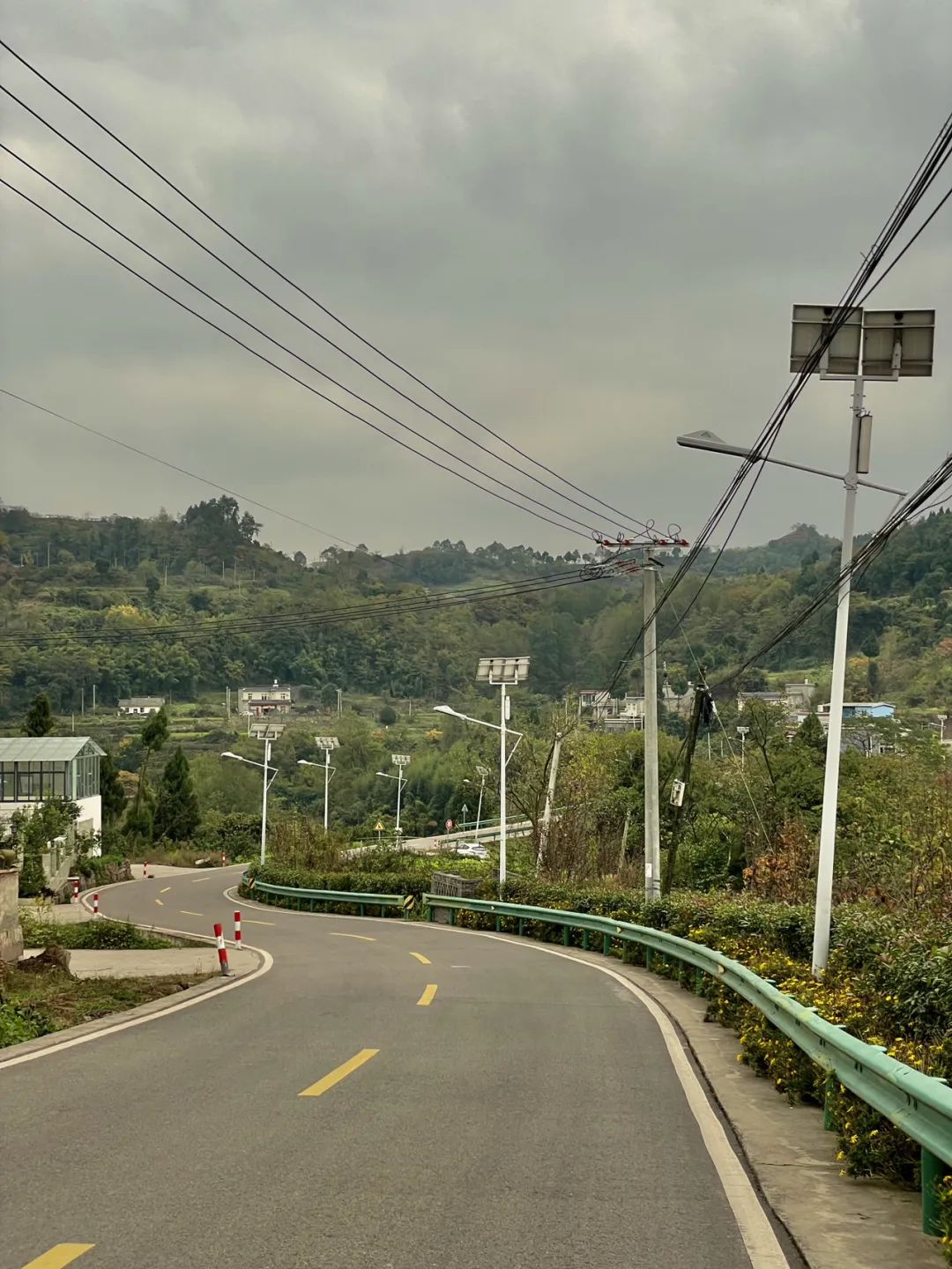 成都旅游豌豆尖,成都仰天窝近郊爬山推荐