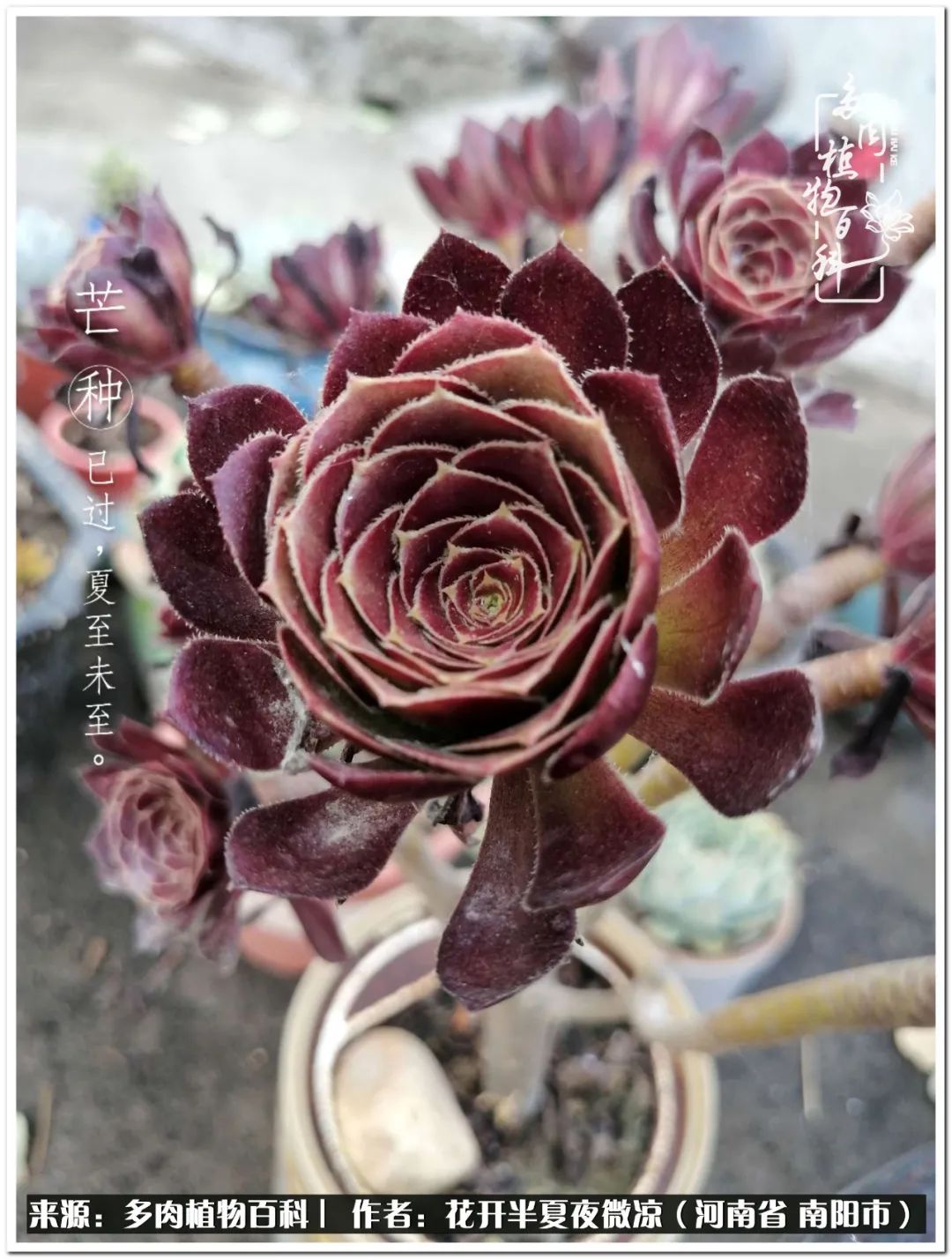 万事开头难只要坚持才有收获,万事开头难只要肯干就会有结果