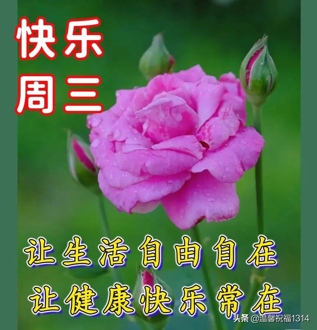7月12日早安温馨问候语,7月1日清晨祝福语