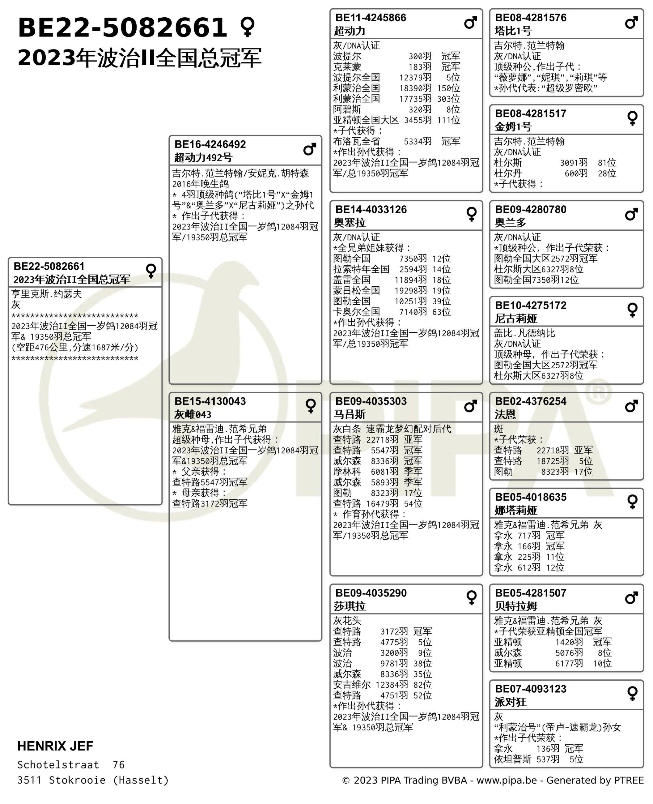 波治Ⅱ两万羽争锋速霸龙后代高速夺冠