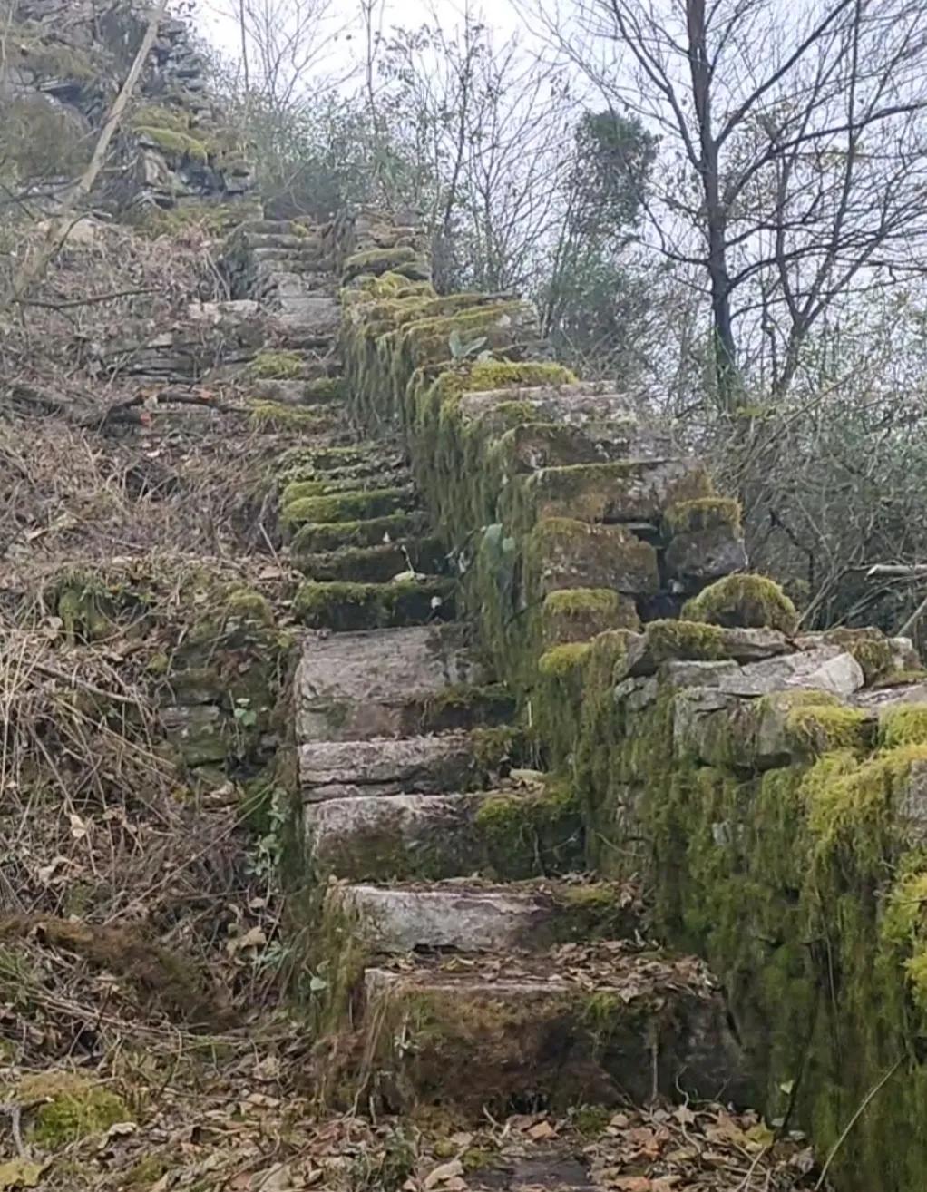 再登井冈山,再登黄山之巅