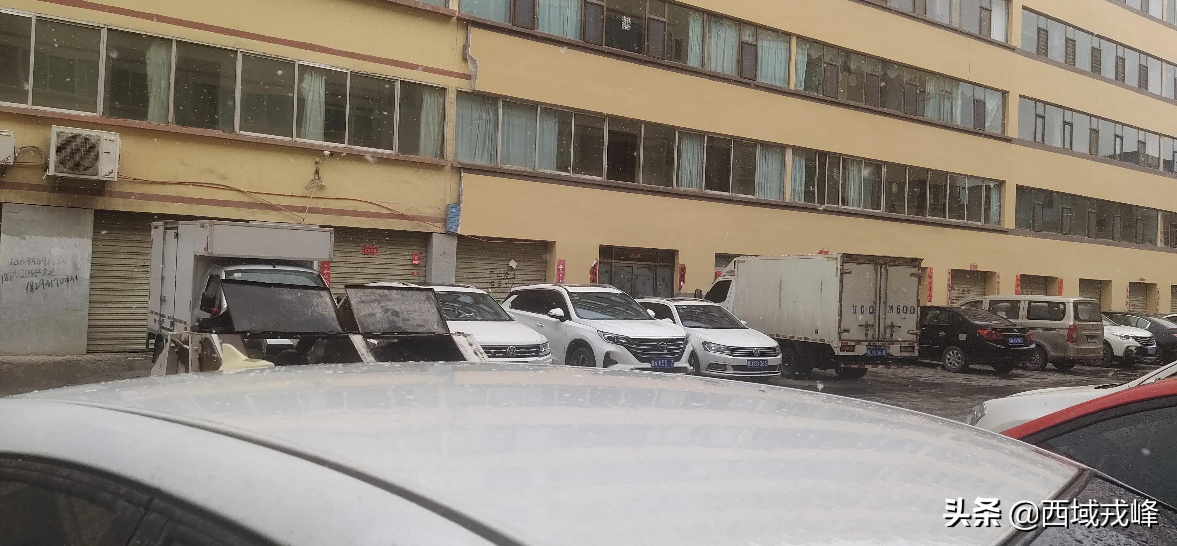 春雪送瘟去绿染景泰川