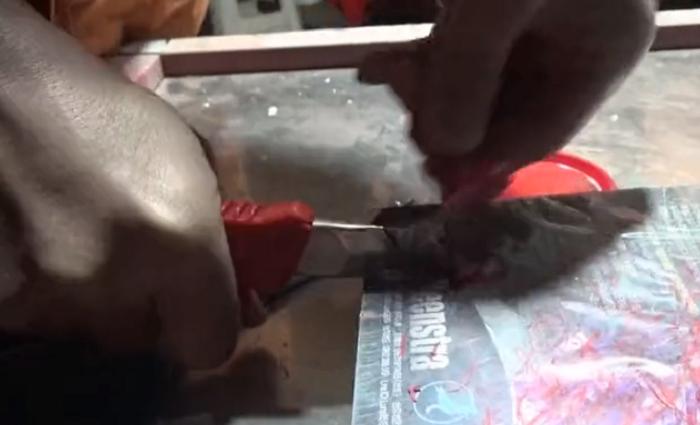 国际公棚鸽王赛奖杯,国际公棚赛