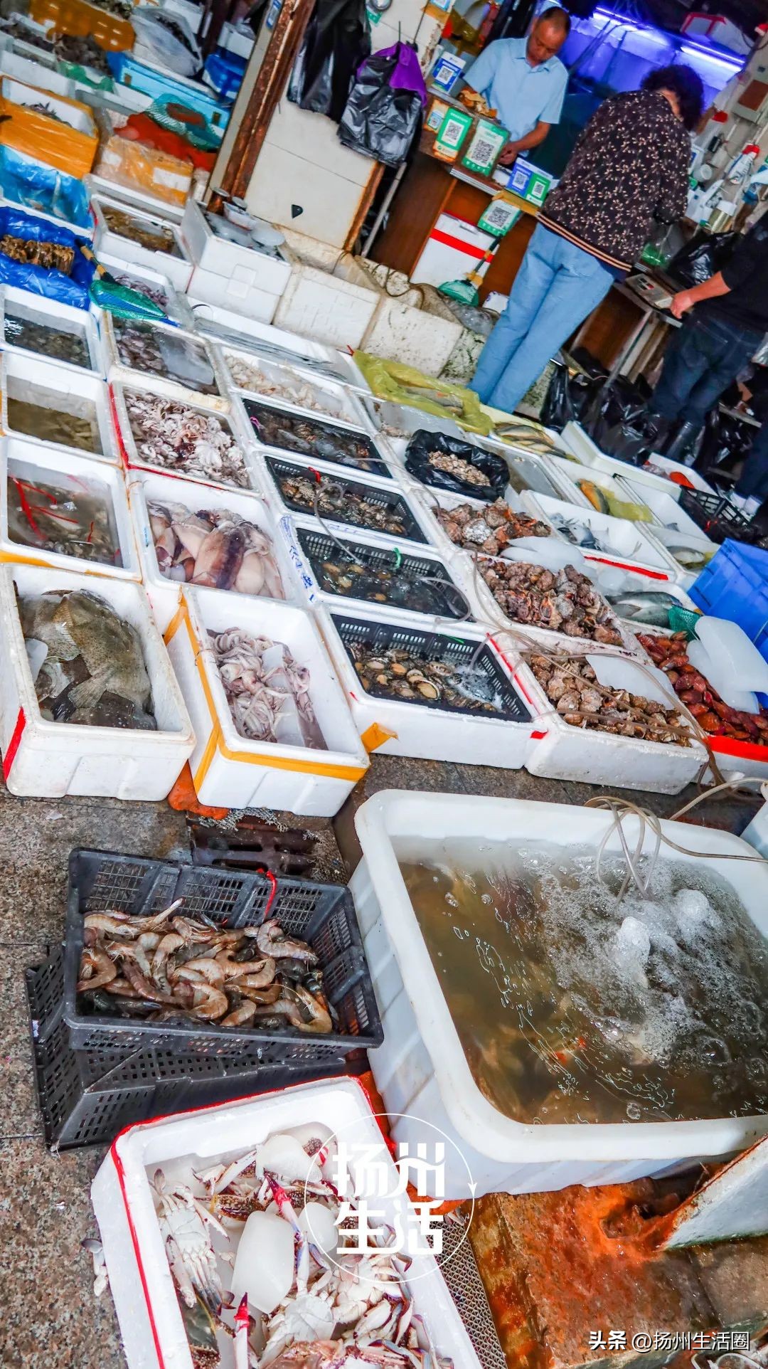 不吃一顿螃蟹，扬州人过不好这个秋天