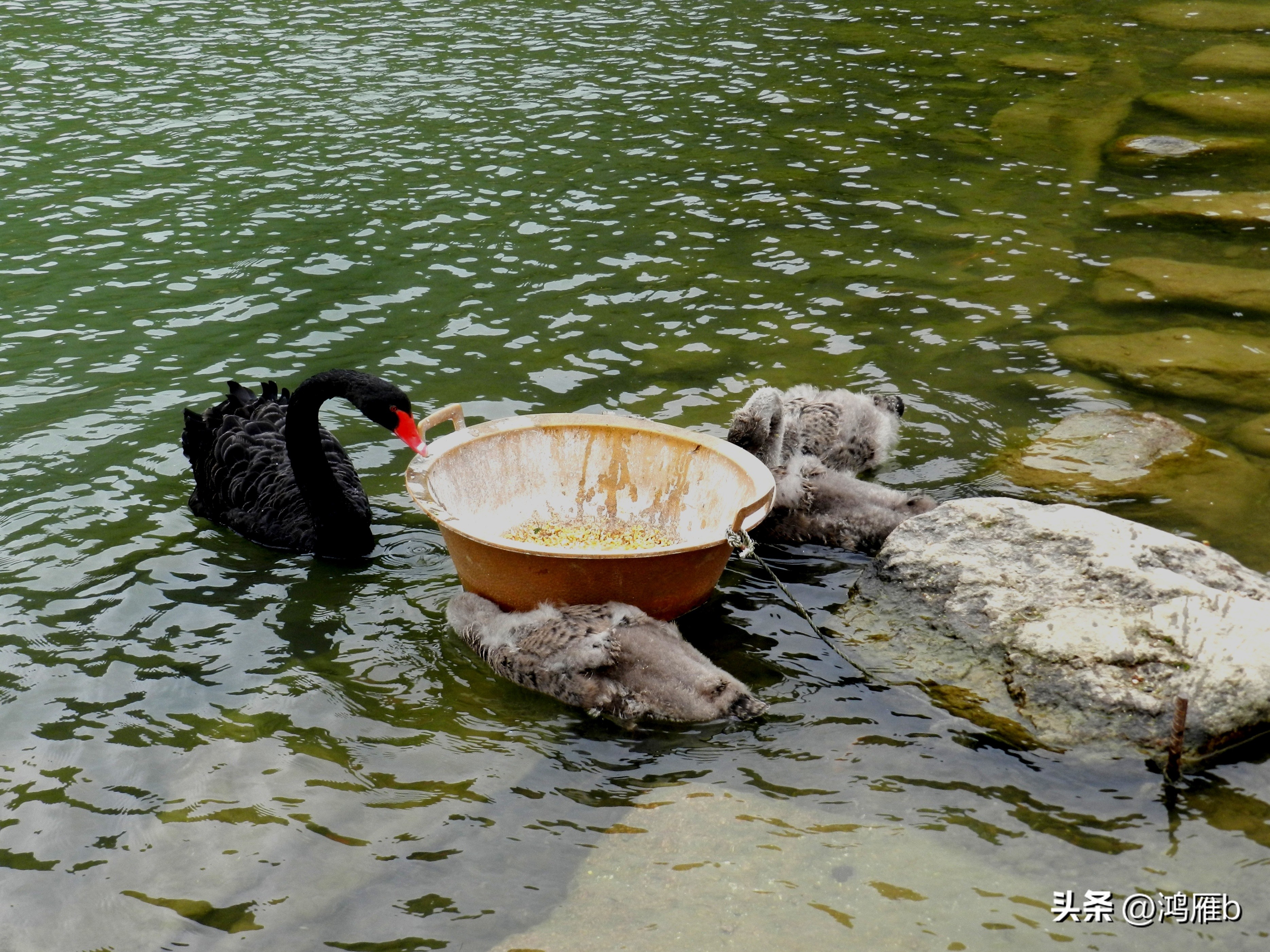本溪温泉汤沟门票价格,本溪花溪沐枫雪温泉小镇