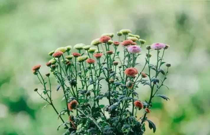 当别人瞧不起你时最有力的反击,当别人看不起你的时候怎么反击