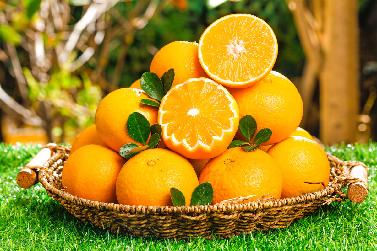 本地人教你怎么挑选麻阳冰糖橙,麻阳冰糖橙个头都很小吗