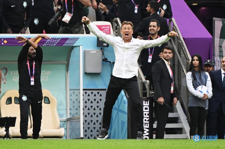 勒纳尔故事,勒纳尔的故事