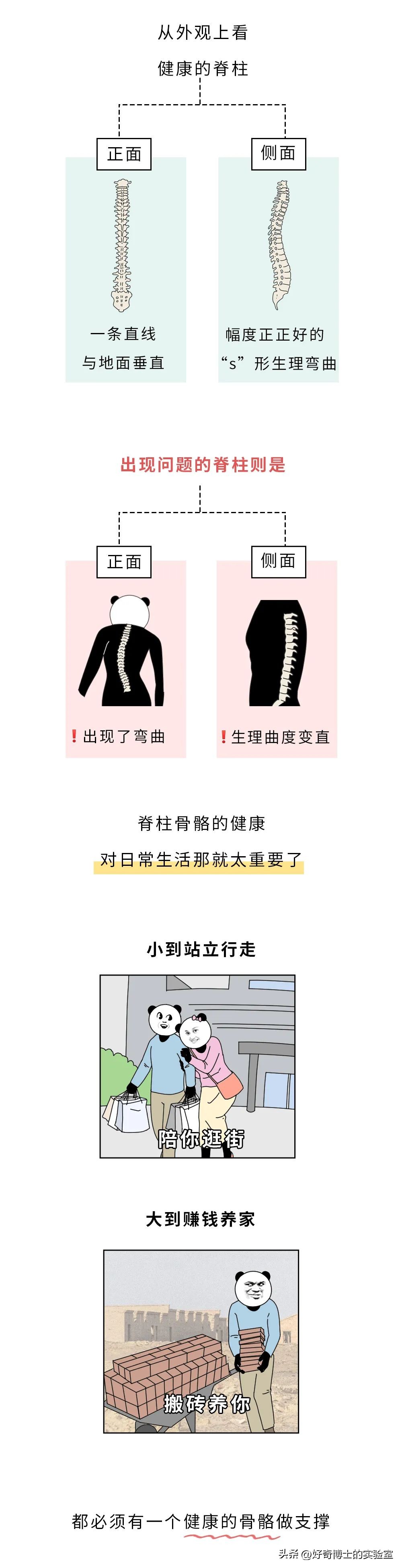 男生的腰比较标准,为什么要问男的腰好不好