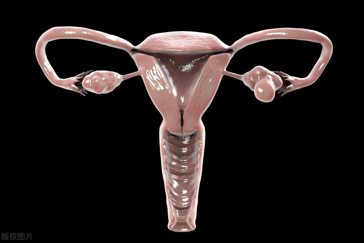 子宫切除对夫妻之间有什么影响,切除子宫对夫妻有什么影响