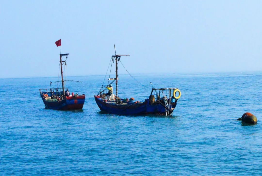 50块钱逛遍大连,50块钱逛沈阳