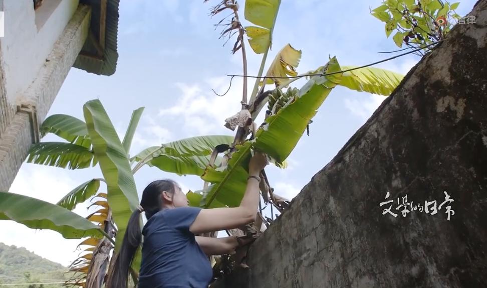 病人马原，困在城堡里