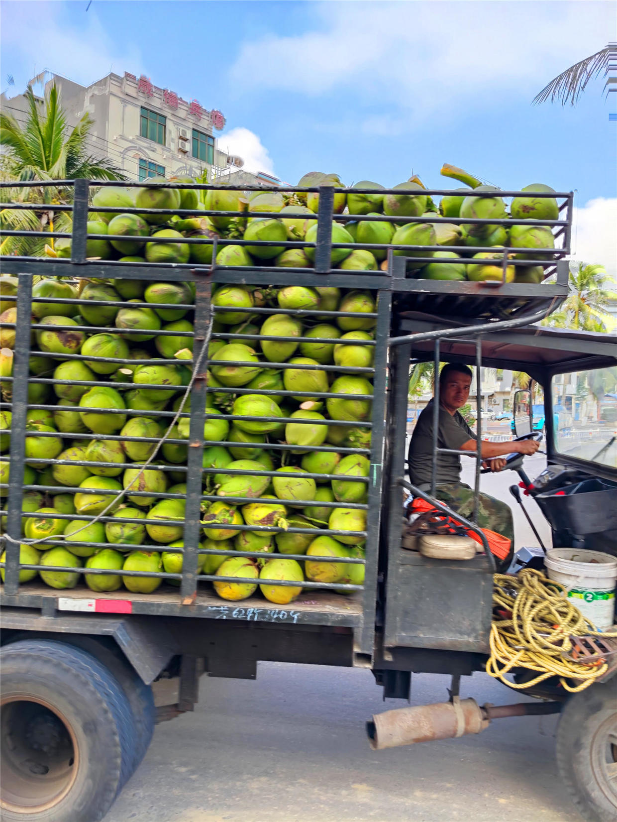 谁说陕西是美食荒漠,网上有人说海南是美食荒漠