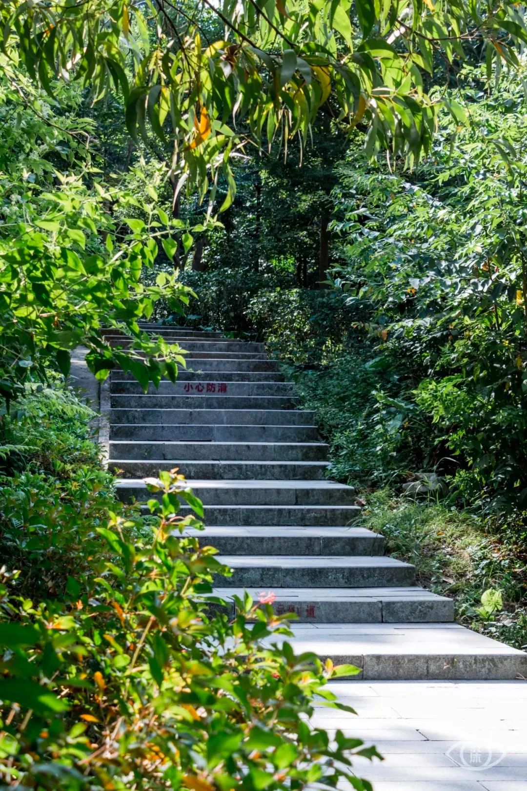 深圳10条入门登山线路推荐,深圳十大山峰最新登山攻略