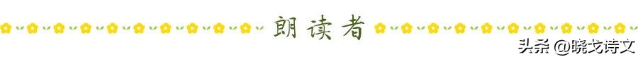 「每日一诗」《鸽子花集——给孩子》海