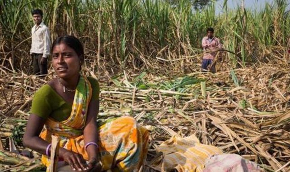 印度无子宫真实现状,印度切除子宫是怎么回事