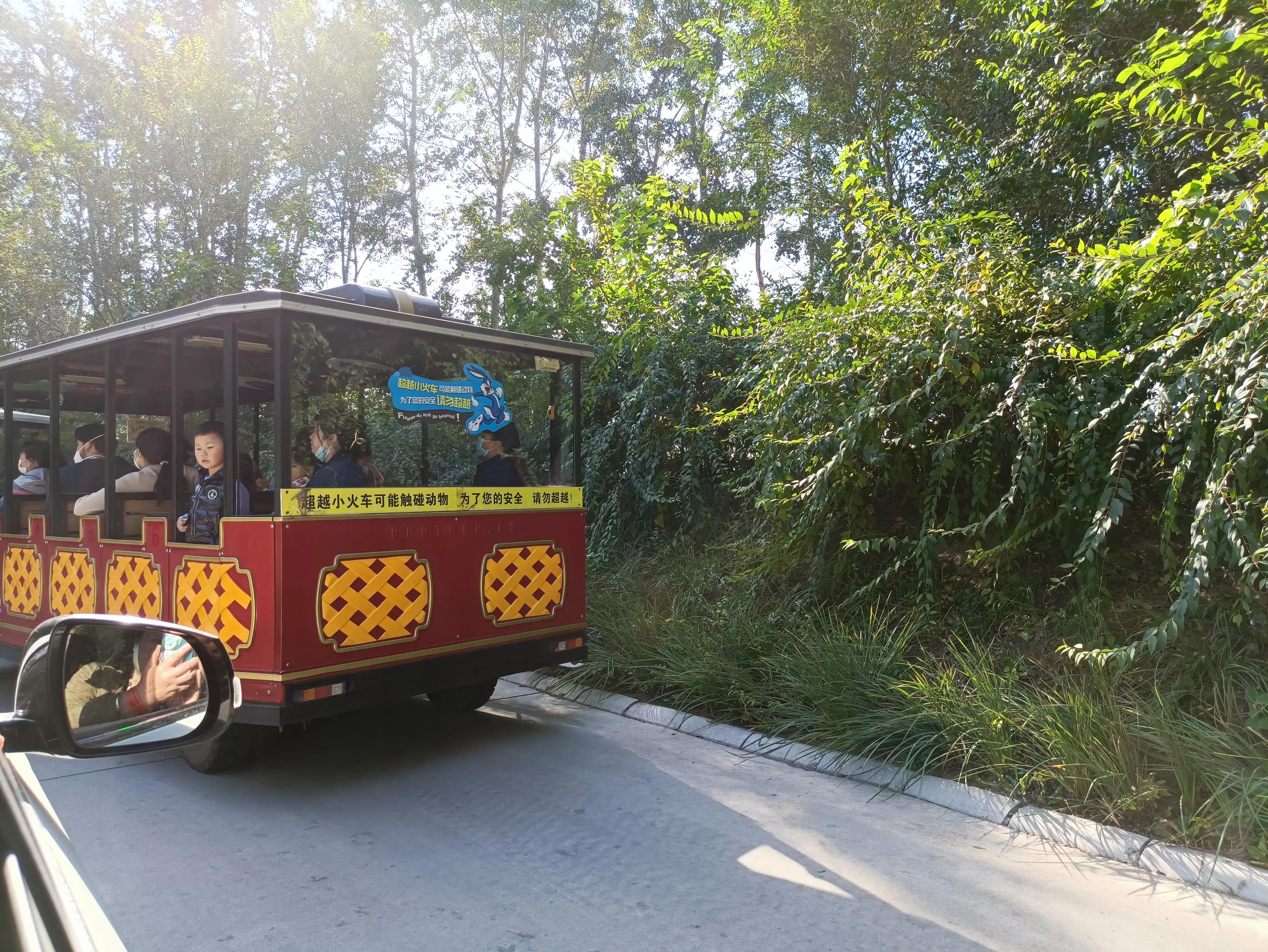 北京动物园和北京野生动物园区别,北京野生动物园狗妈妈和老虎狮子