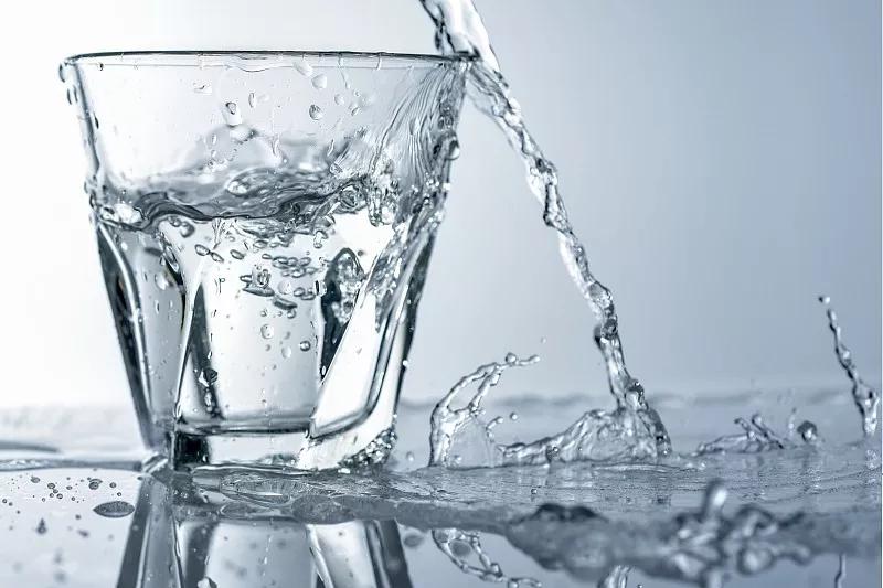 「鱼食制作」金鱼饲料怎么制作金鱼饲料制作方法