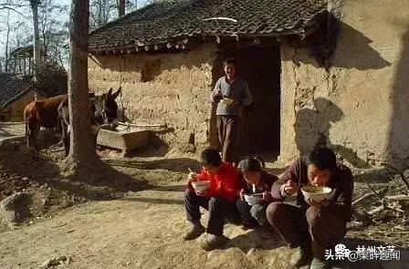 赵长生完整版免费阅读,赵长生短视频