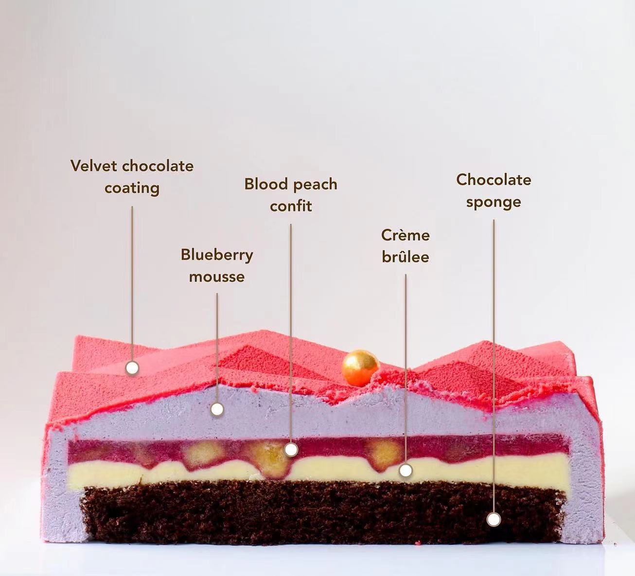 蛋糕切面,蛋糕两层夹心切面图片