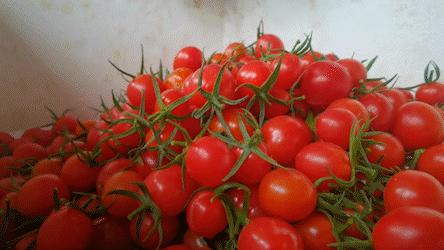 金湾农作物特产是什么呢,金湾区特产推荐