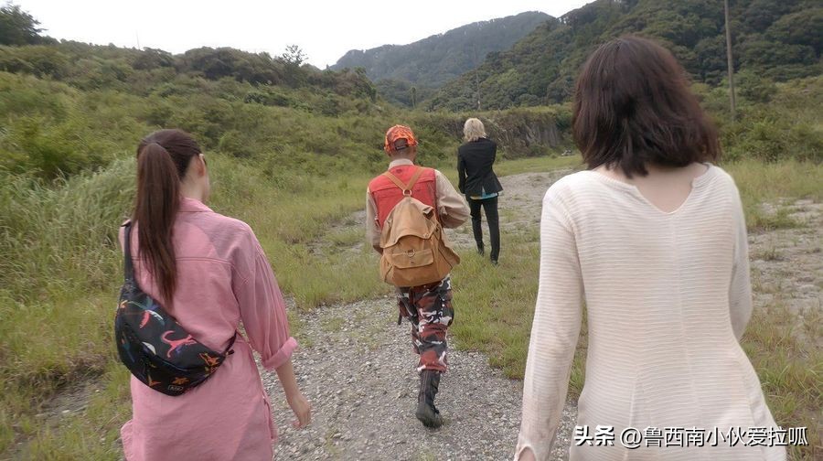 娆㈣繋鏉ュ埌绮剧伒妫灄瑙掕壊浠嬬粛,娆㈣繋鏉ュ埌妫灄闅愯棌瑙掕壊