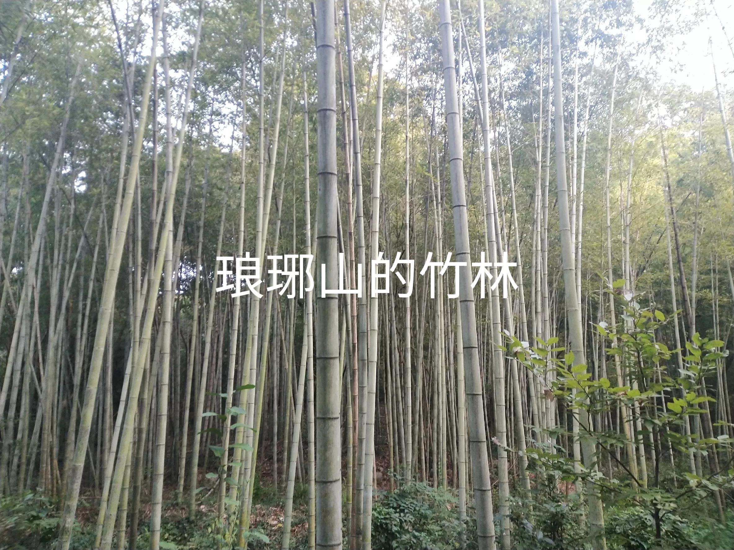 夜游琅琊山,琅琊山南天门景区夜游