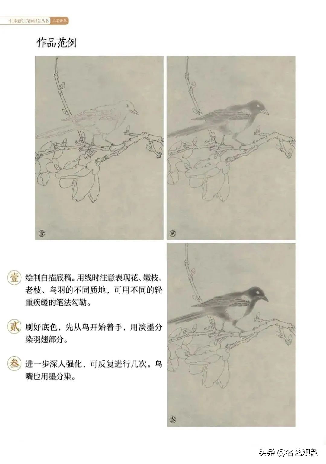 国画禽鸟写意教学视频,工笔禽鸟圆扇图片大全