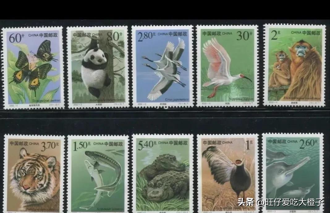 中国邮票回忆,邮票峥嵘岁月