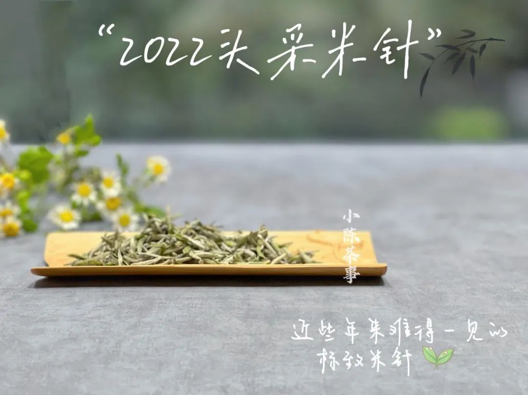 一年中哪个季节的茶叶最好喝,一年里茶叶什么季节最便宜