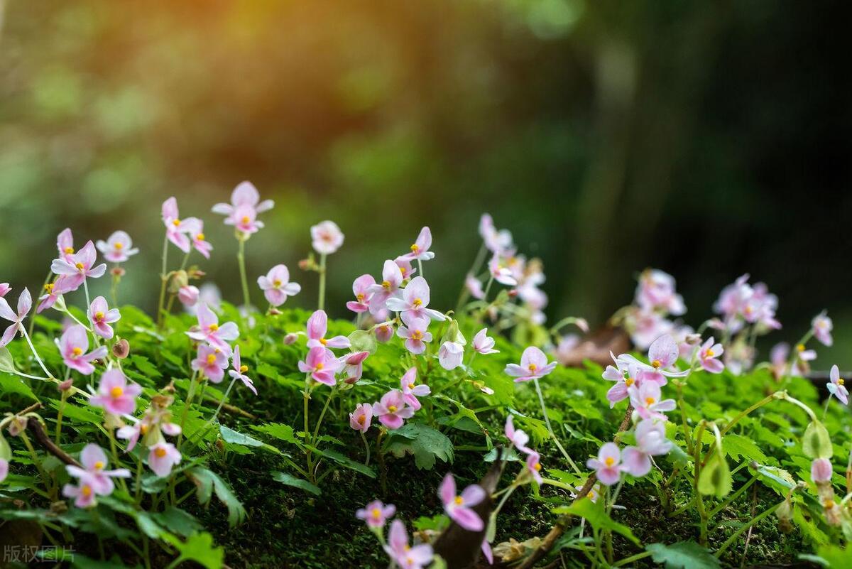 为人处世最怕碰到会算计的人,遇到算计自己的人怎么处理