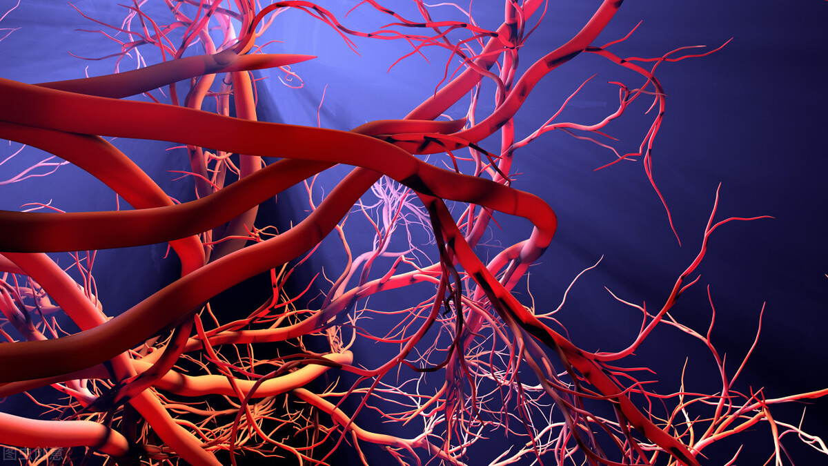 心脑血管血检三项是查什么,血管风险检测三项