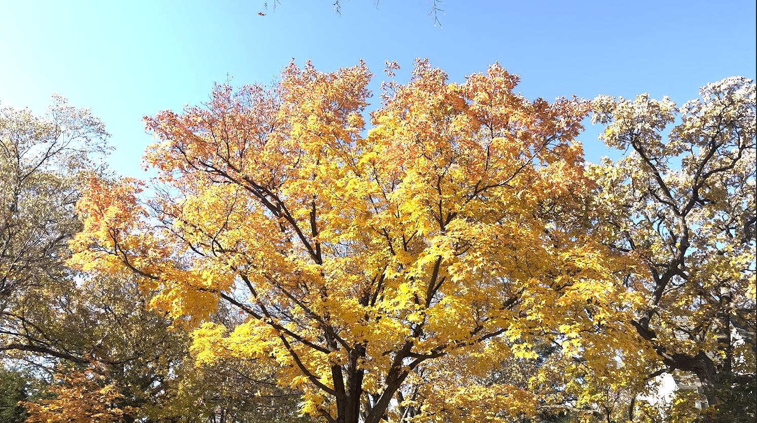 premierepro是什么软件,premierepro入门教程