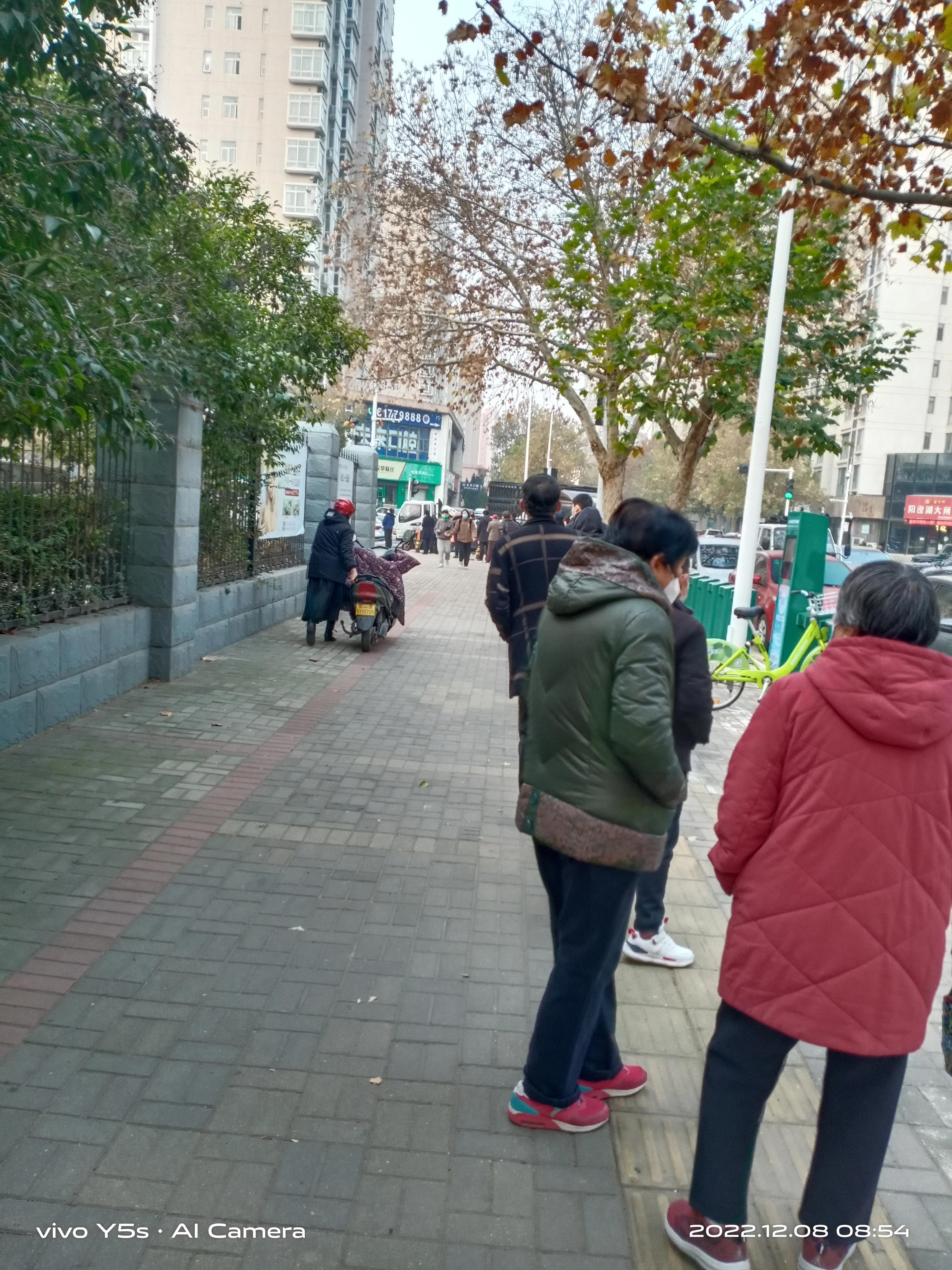 真不幸,我家有了六只羊