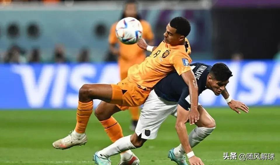 世界杯荷兰对美国谁赢了,最新世界杯美国对荷兰